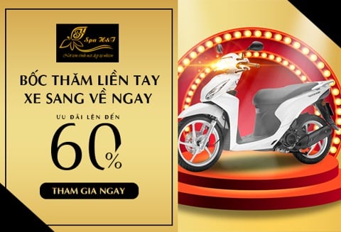 avatar website htspa