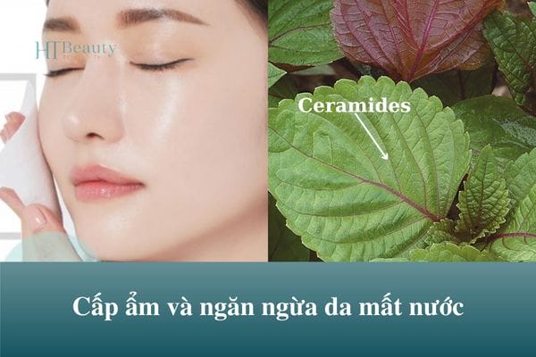 Cong dung la tia to lam dep 3