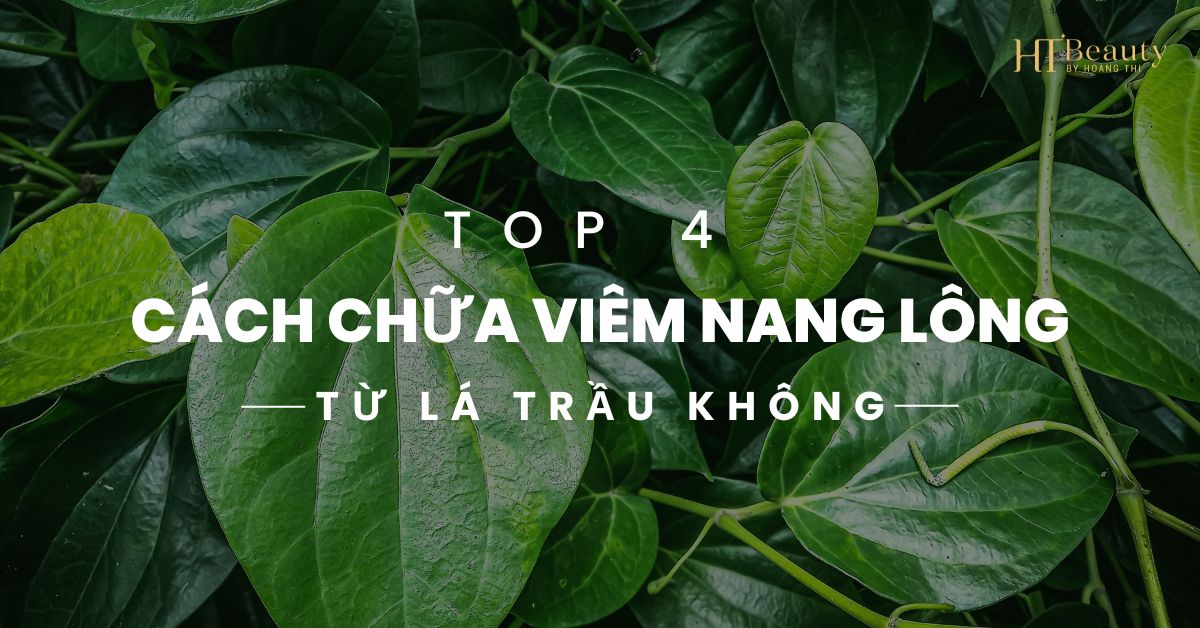 Top 4 cách chữa viêm nang lông từ lá trầu không đơn giản