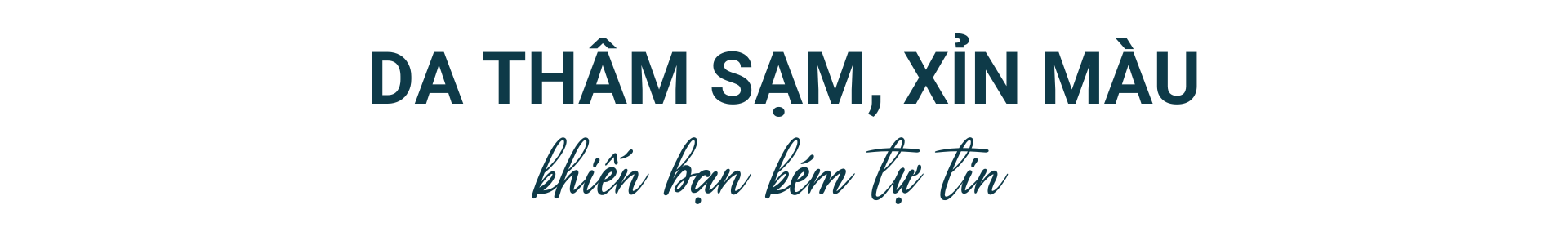 Text DA THAM SAM XIN MAU