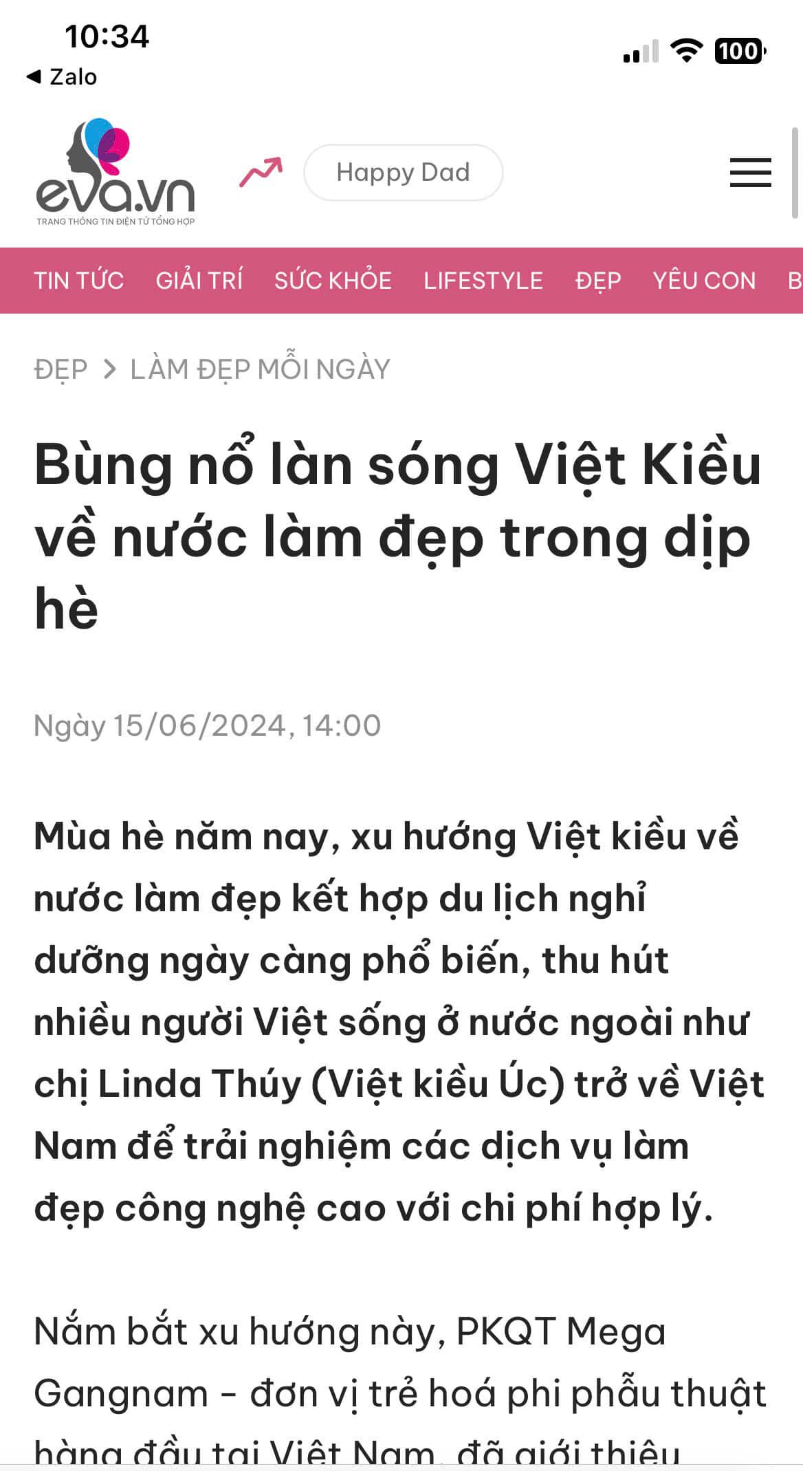 viet kieu ve nuoc 1 e1731641828366